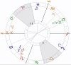 西洋占星術 インターセプトのサインによるハウスの影響